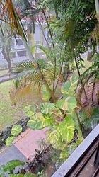 Braddell View (D20), Apartment #480053211